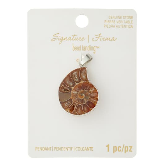 6 Pack: Fossil Shell Pendant by Bead Landing™